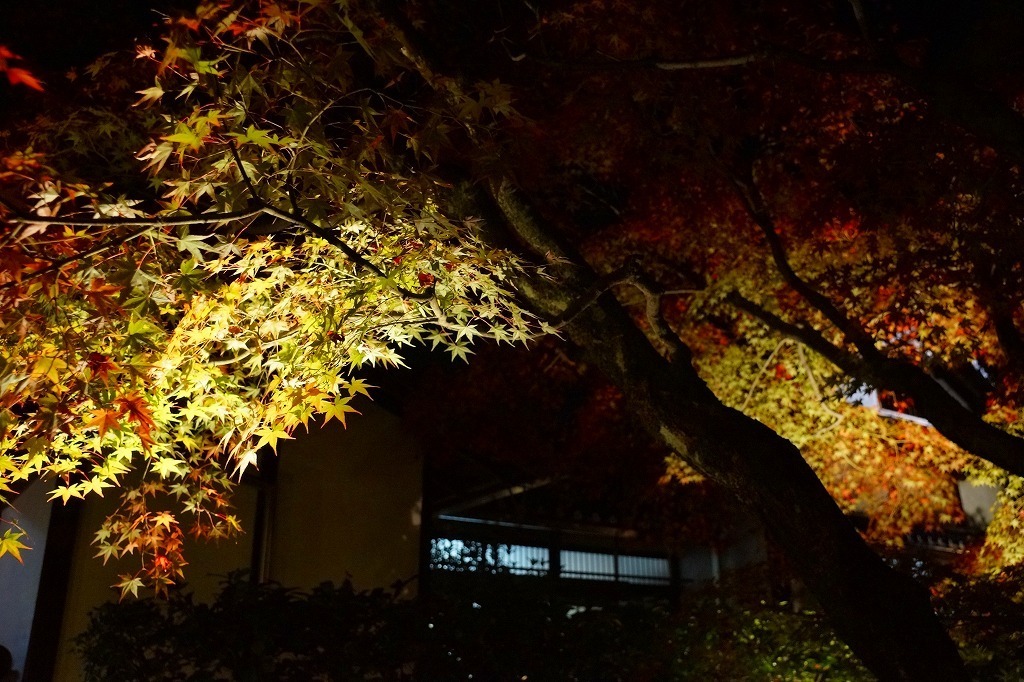 必見 15年高台寺ライトアップ 百鬼夜行 プロジェクションマッピング