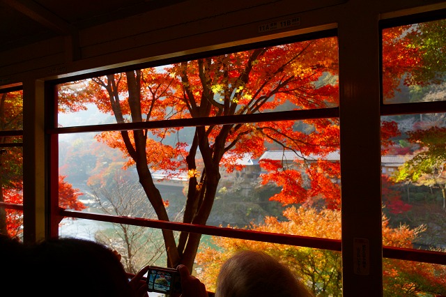 人気の嵯峨野トロッコ列車で紅葉のすばらしい景色を見よう